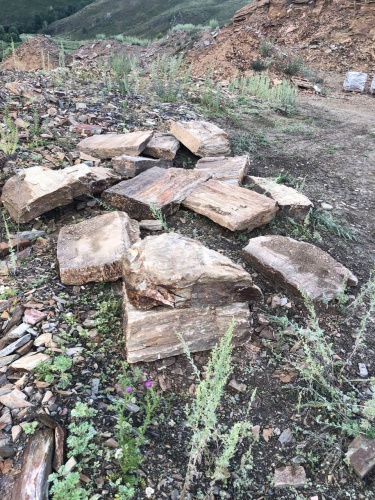 Плитняк кора дерева 50-100мм для пошаговых дорожек купить в Республике Башкортостан